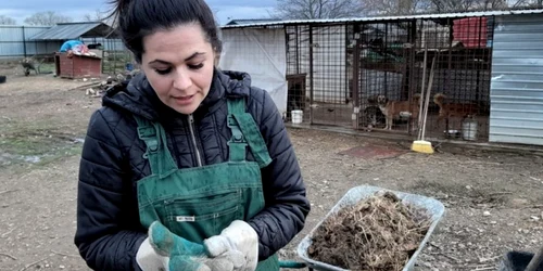 jerika loren adapost caini