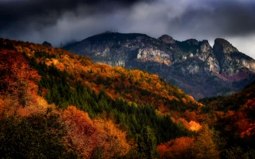 Satul Dângeşti din comuna Berislăveşti se află la limita de sud est a Parcului Naţional Cozia din judeţul Vâlcea Foto Arhiva Adevărul