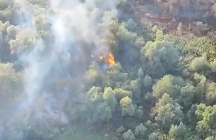 Incendiu în Delta Dunării FOTO: captura video