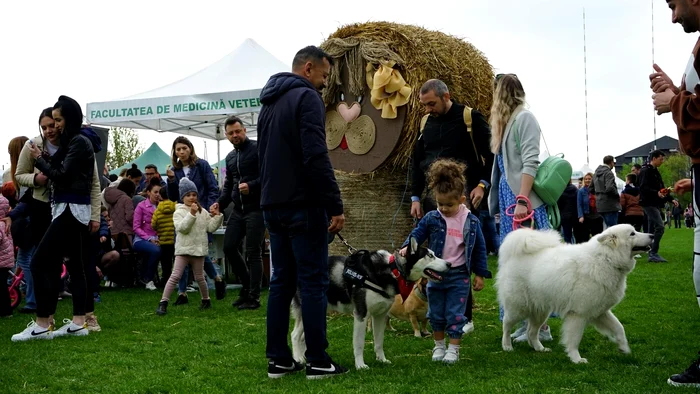 Animal Fest SURSĂ Facebook USV Iaşi