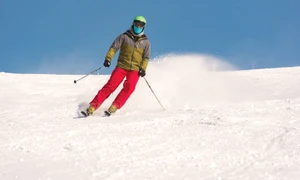 WhatsApp Image 2026 02 15 at 16 53 54 jpg