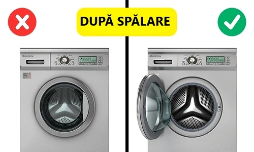 1 84461 original jpg jpeg