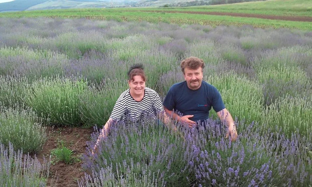 familie ocna mures agricultura
