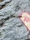 transfagarasan jpg