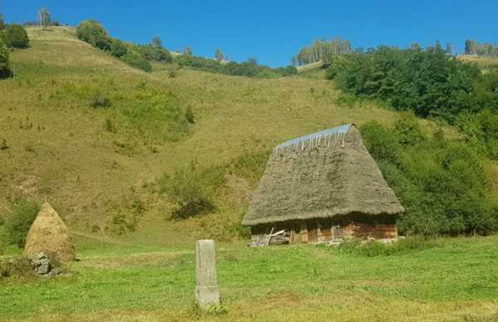 transalpina apuseni catune