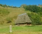 transalpina apuseni catune