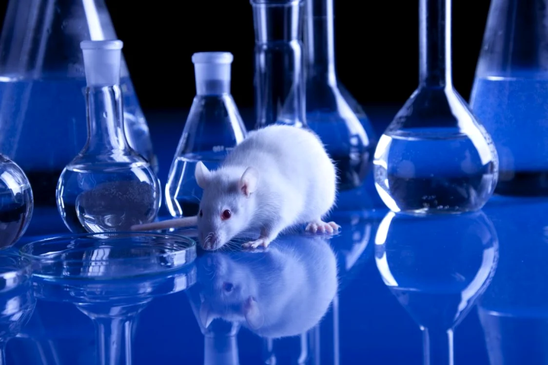 Cosmeticele care conţin ingrediente testate pe animale nu mai pot fi comercializate în UE FOTO: Shutterstock