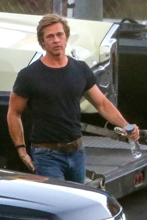 1 brad pitt profimedia 0386334798 jpg jpeg