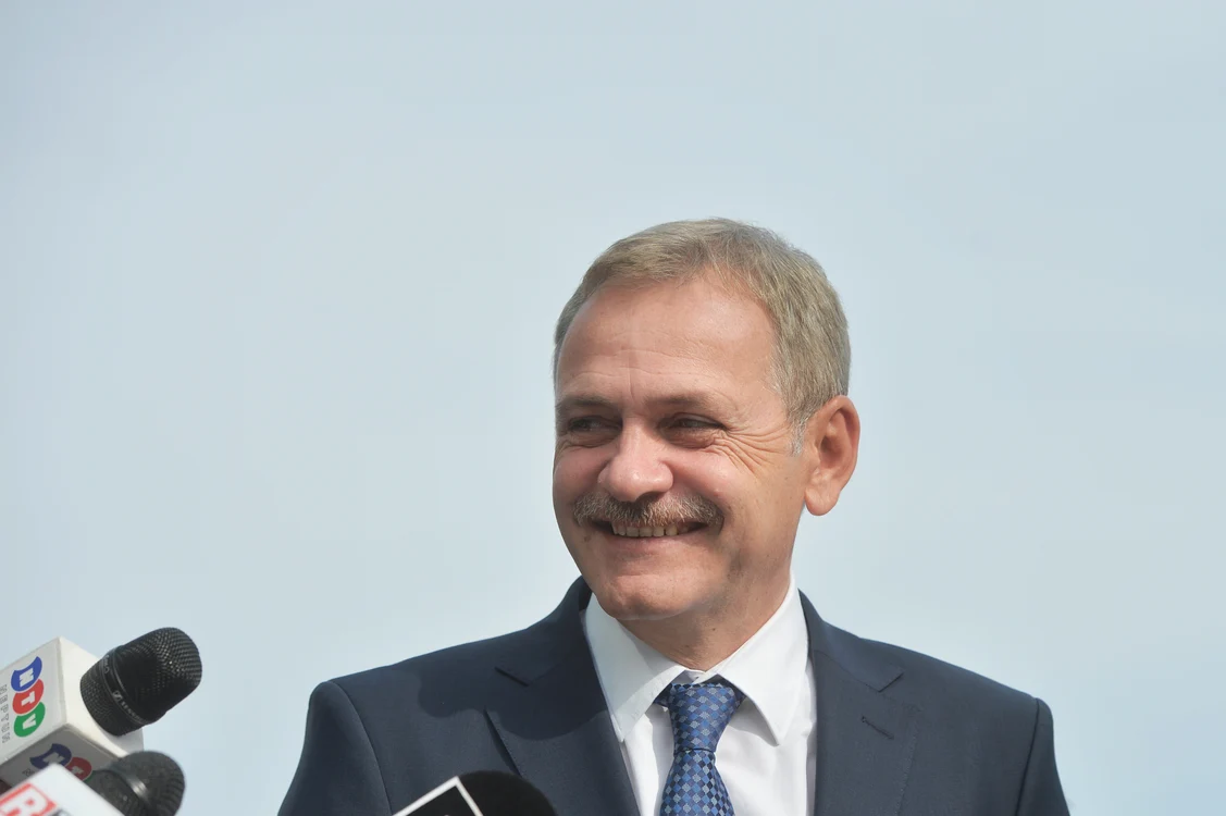 
    Liviu Dragnea este unicul candidat la şefia PSDFoto: Mediafax  