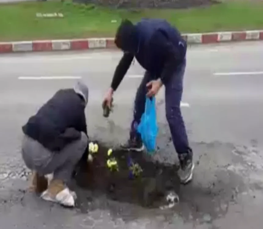 
    Cei doi tineri au plantat panseluțe în groapa de pe DN1  