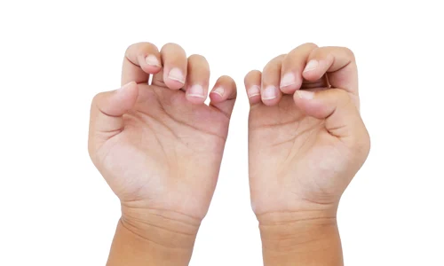 shutterstock 1468038344 jpg