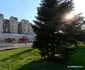 Ramnicu Vâlcea  Foto Daniel Guță  ADEVĂRUL (6) jpg
