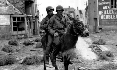 Haz de necaz  Fotografii amuzante de pe frontul celui de al Doilea Război Mondial jpeg