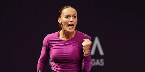 ana bogdan platformax jpg