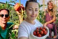 Banner Tomate
