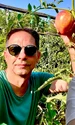 Banner Tomate
