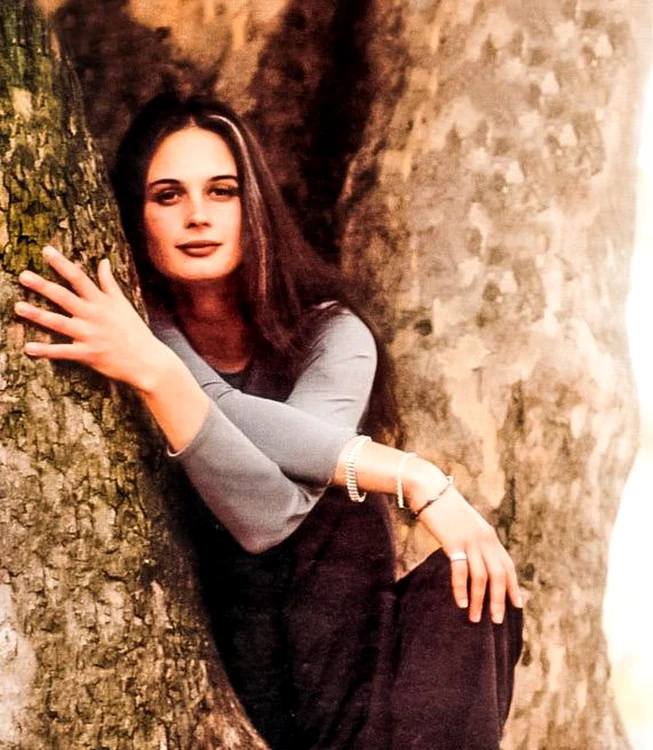 Julia Butterfly Hill a locuit într-o copac vechi de 1000 de ani 738 de zile / foto: juliabutterflyhi