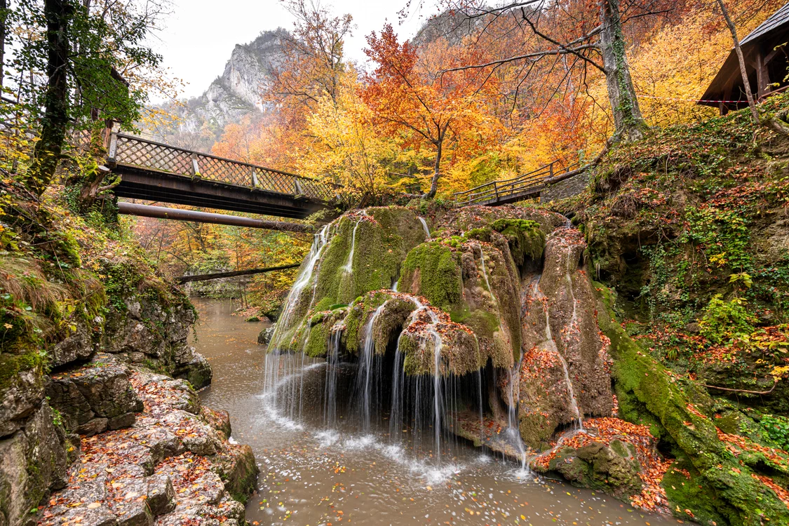 
    foto: Shutterstock  