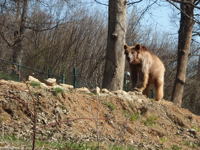 Plimbare fără griji în rezervaţie