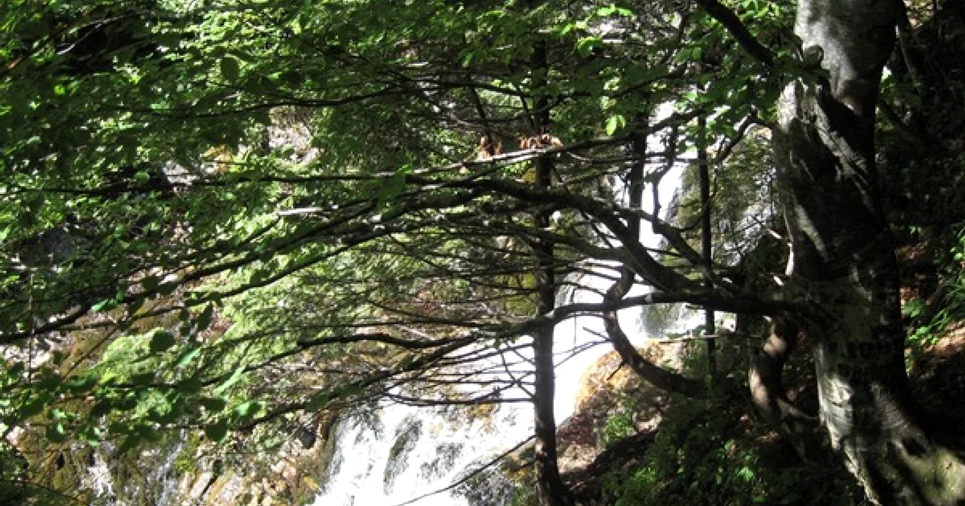 Cascada Bâlea