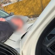 Screenshot 2026 02 08 201613 jpg