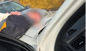 Screenshot 2026 02 08 201613 jpg