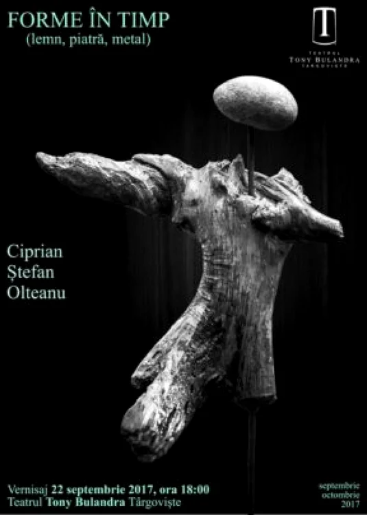 expozitie ciprian olteanu