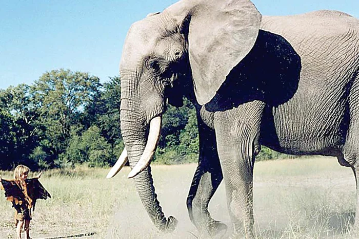 Tippi, la vârsta de 6 ani, jucându-se cu un leopard domesticit