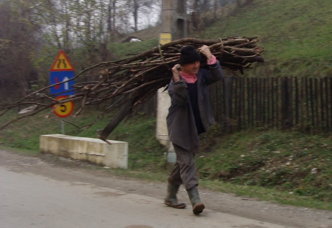 Proprietarul nu avea acte pe lemnele găsite în gospodăria sa