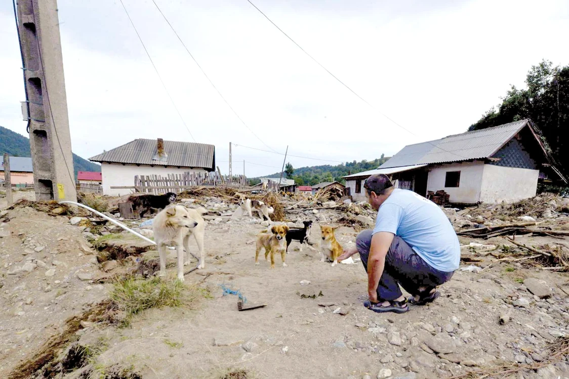 Zeci de mii de vietăţi au avut de suferit de pe urma inundaţiilor care au măturat România