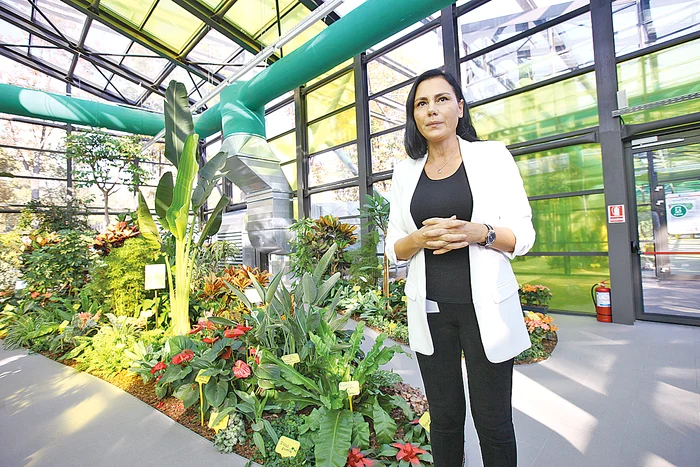 În aceste sere lucrează opt specialişti, printre care şi Denisse Adlah