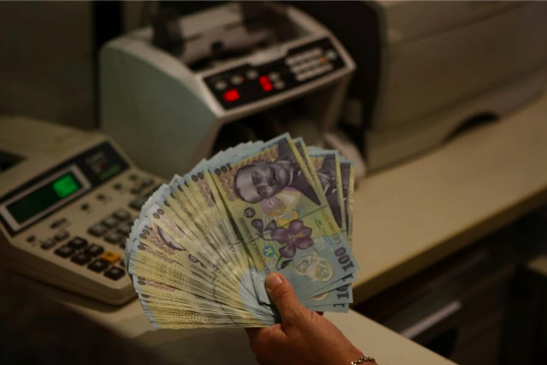 Ratele subţiază din ce în ce mai mult bugetul familiei