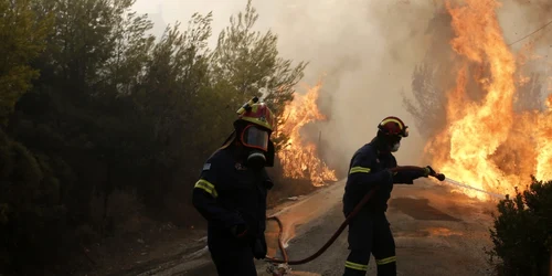 Incendii Grecia / FOTO EPA - EFE / 25 iul 2018