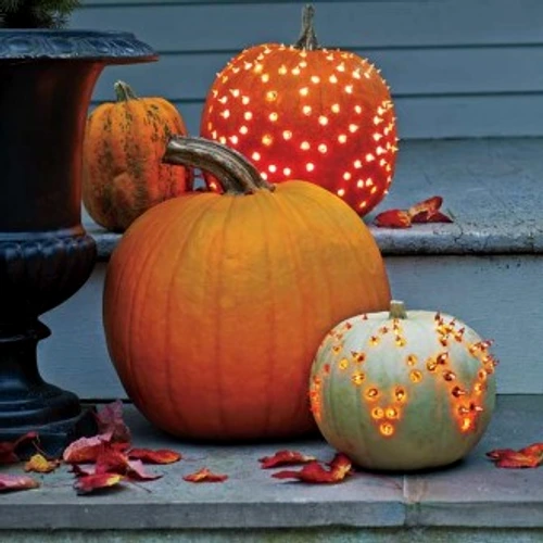 f758fdb6d2a3d43f46ba55643a810f6f jpg jpeg