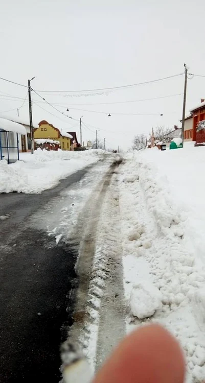Babşa
