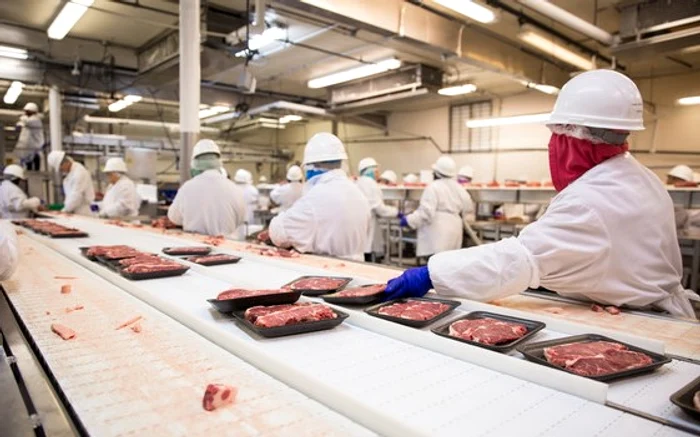 
    4.000 de români sunt angajați la abatorul din Germania care a devenit un adevărat focar de coronavirusfoto: Shutterstock  