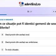 gemeni jpg