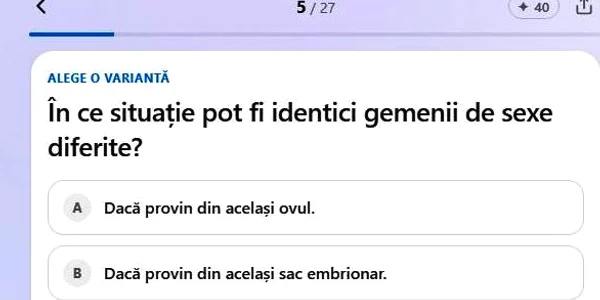 gemeni jpg