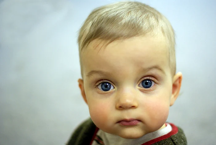 
    Top 10 lucruri pe care le adoră cei micifoto: johnstackhouse.com  