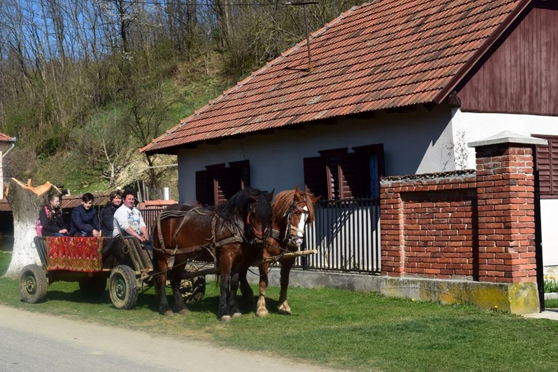 Frumuseţile comunei Margina