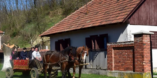 Frumuseţile comunei Margina