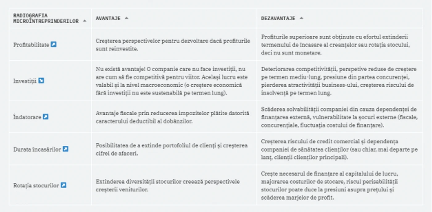 analiza iancu guda microintreprinderi