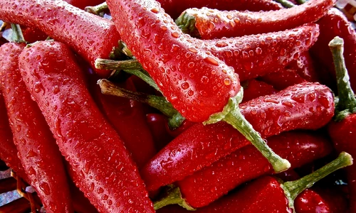 1 75296 original jpg jpeg