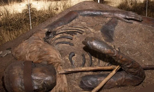 1366x768 cmsv2 d80bf845 be32 5e11 a7a8 821da834e5a9 9650746 webp