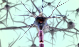 neurons 7079536 1280 jpg