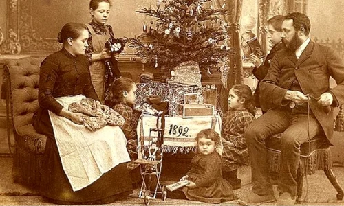 Bradul de Crăciun: știați că    ?! jpeg