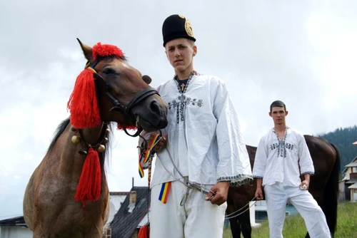 1 61747 original jpg jpeg