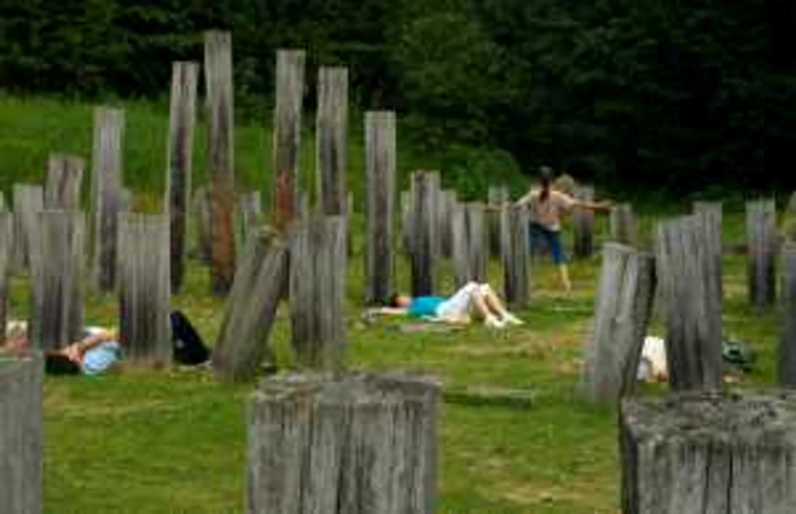 Sarmizegetusa Regia. FOTO