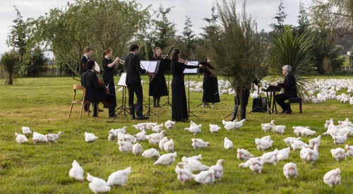 orchestra gaini captura video jpg