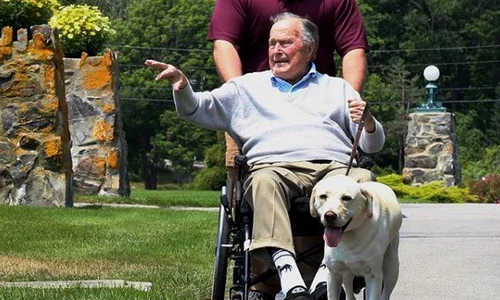 2 sully cainele lui george bush senior 4 jpg jpeg